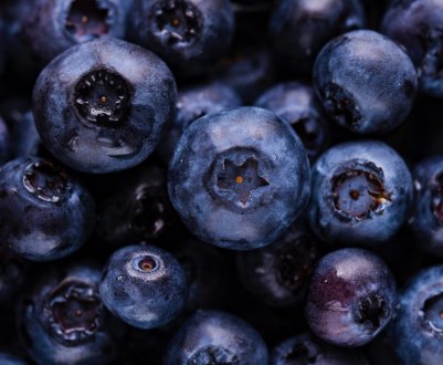 В Україні відкрився сезон переробки чорниці