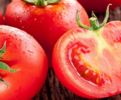 Кладоспориоз томатів: опис захворювання і способи боротьби хімічними і народними засобами