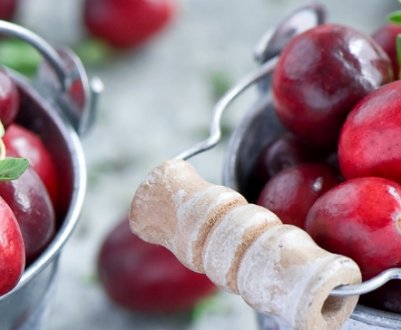 Використання журавлини для зниження температури тіла