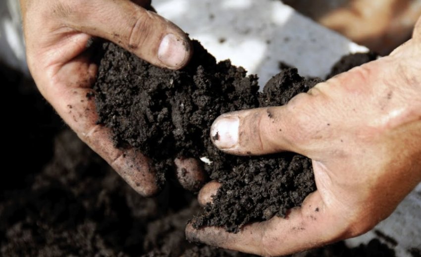 Грунт для посадки