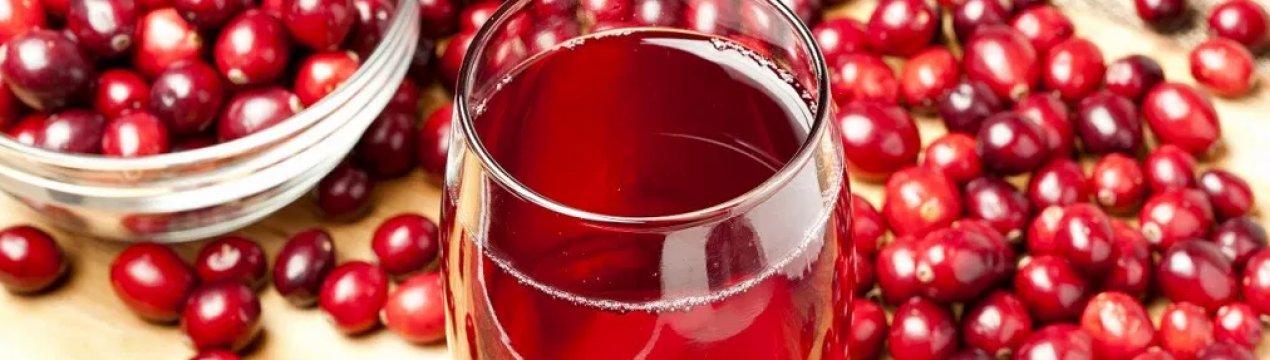 Сечогінні властивості брусниці в народній медицині