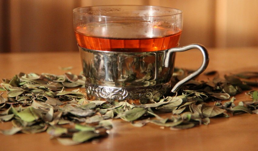 Брусничний чай