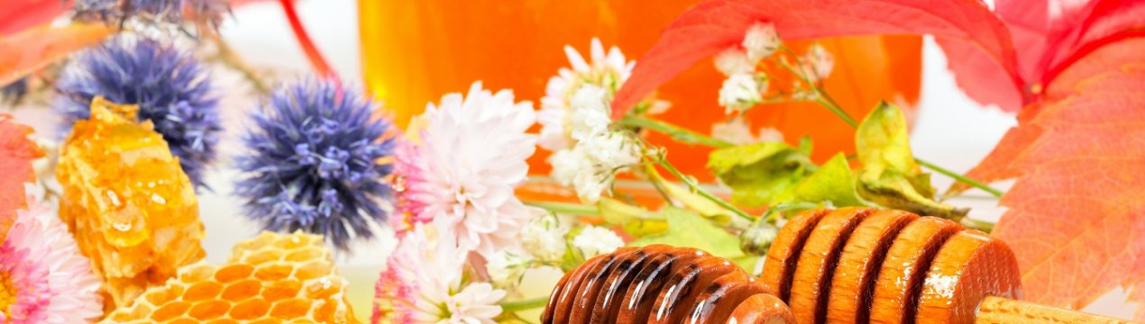 Лісові господарства Волині збільшують виробництво меду