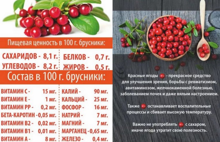 Хімічний склад брусниці