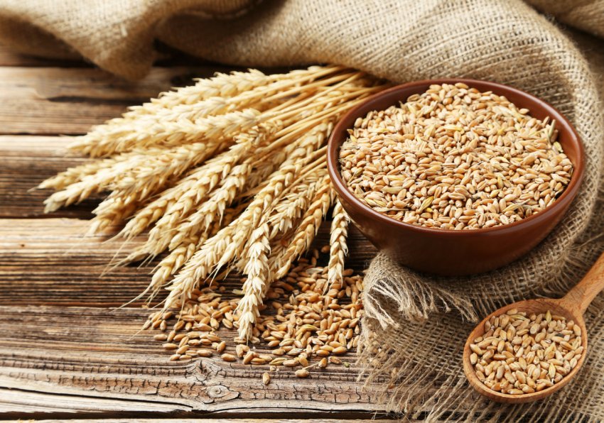 Російські експерти підвищують прогнози зернового експорту Російські експерти підвищують прогнози зернового експорту