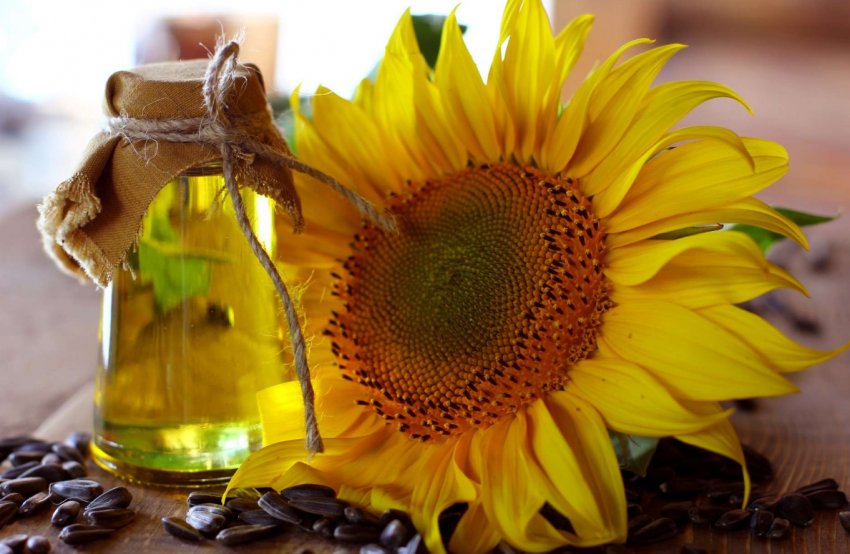 Російські експортери олії поставили новий рекорд Російські експортери олії поставили новий рекорд