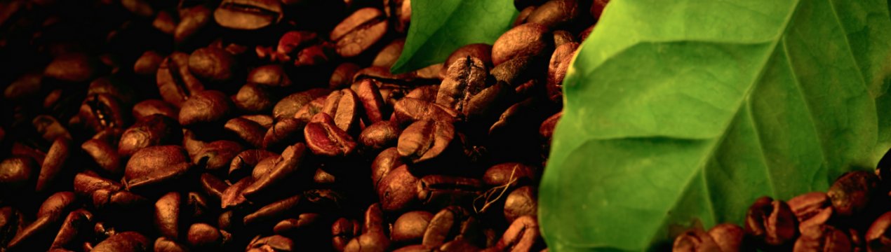 В'єтнам скорочує експорт кави і рису