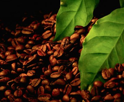 В'єтнам скорочує експорт кави і рису