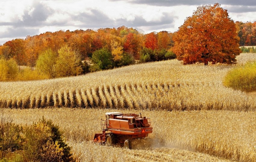 Ніякої торгівлі між США і ЄС без сільського господарства Ніякої торгівлі між США і ЄС без сільського господарства
