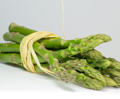 Фермерське господарство з Херсонської області збільшить площу вирощування спаржі в 10 разів