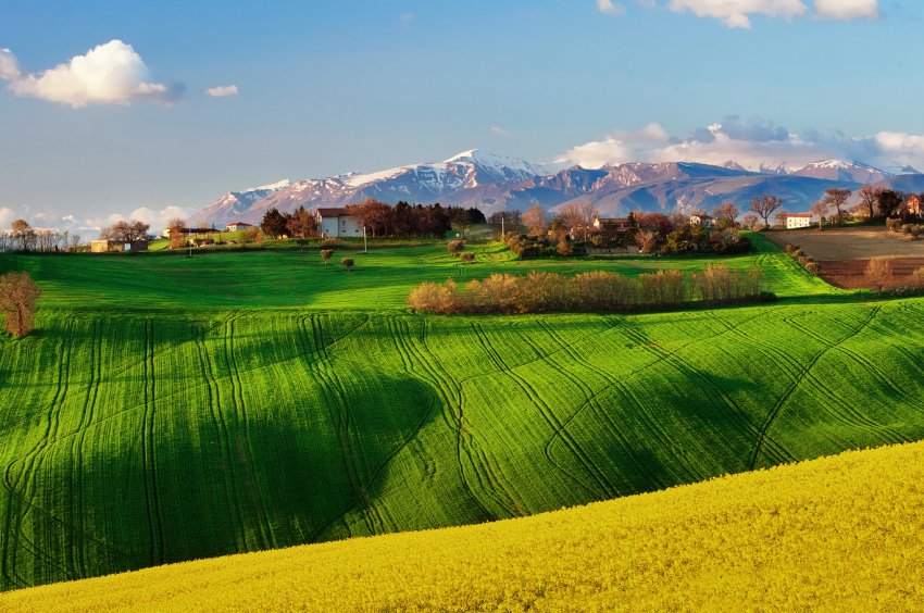 На вихідних в Миколаївській області двічі горіли поля