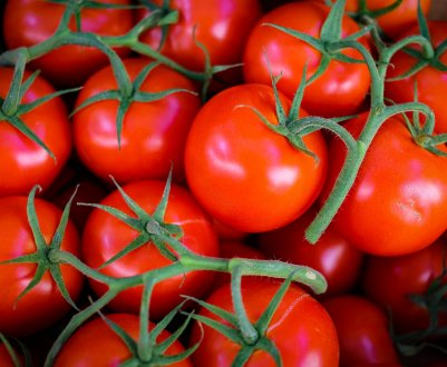  Тепличні господарства України віддають перевагу томатам