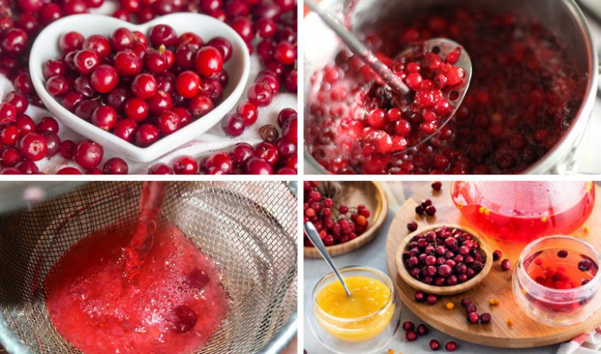 Приготування брусничного чаю при авітамінозі