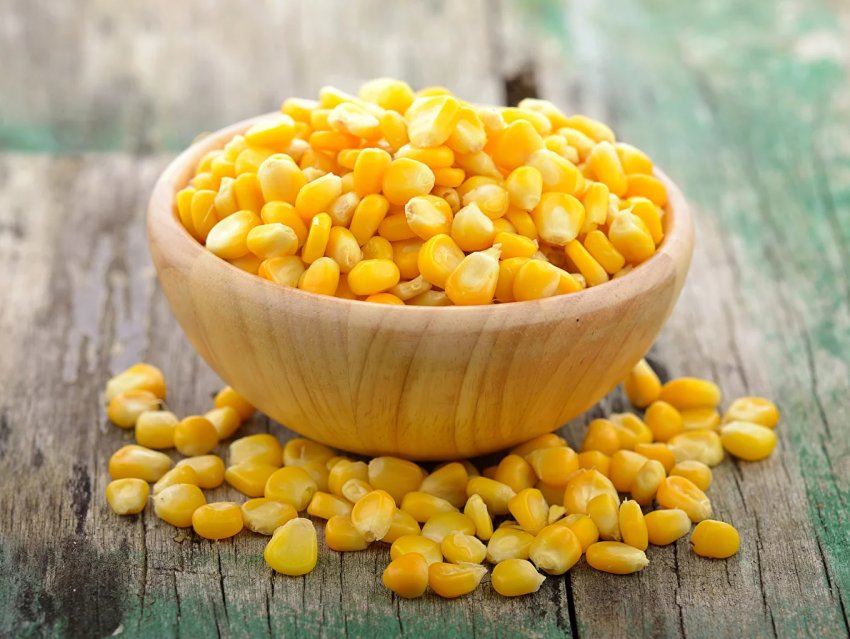 В США посіяно кукурудзи більше, ніж очікувалося