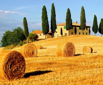 Фермери Ольстера попередили про неприпустимість скорочення виплат за підтримки