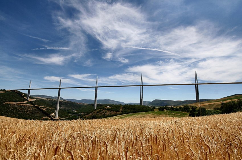 Фермери Ольстера попередили про неприпустимість скорочення виплат по підтримці