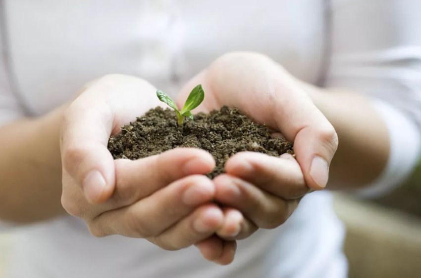 IFA вітає міжнародний кодекс поведінки FAO з питань сталого використання та управління добривами IFA вітає міжнародний кодекс поведінки FAO з питань сталого використання та управління добривами