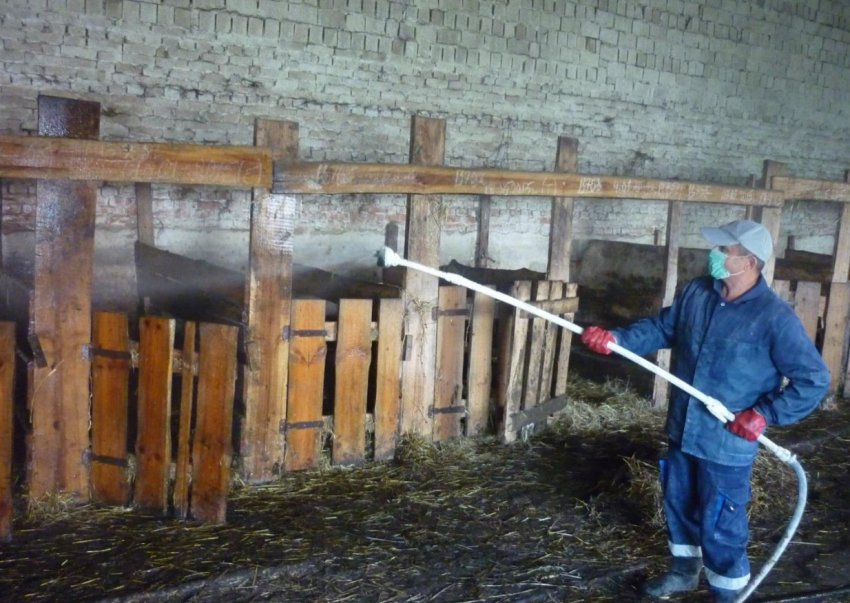 Дезінфекція загону для овець Дезінфекція загону для овець
