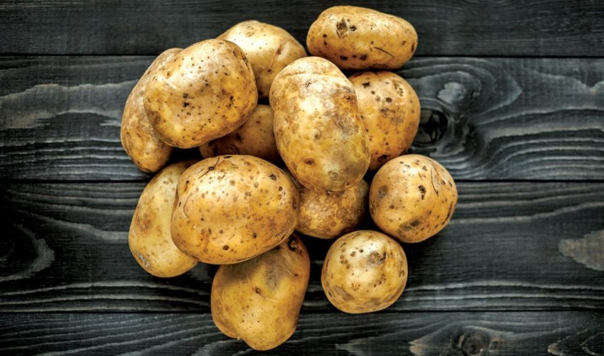 На кубанських городах ледь не оселилися небезпечні «лялечки» На кубанських городах ледь не оселилися небезпечні «лялечки»