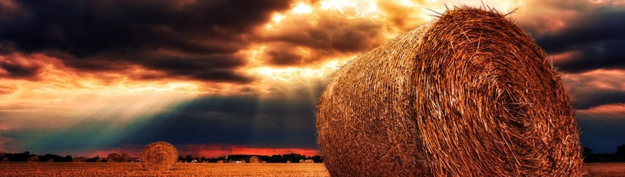 Тернопільська фіскальна служба вдарила «Урожаєм» за фермерам