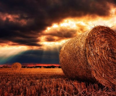 Тернопільська фіскальна служба вдарила «Урожаєм» за фермерам