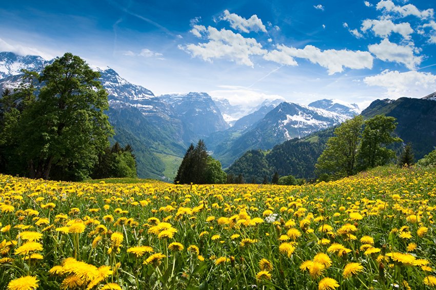 Тернопільська фіскальна служба вдарила «Урожаєм» за фермерам Тернопільська фіскальна служба вдарила «Урожаєм» за фермерам