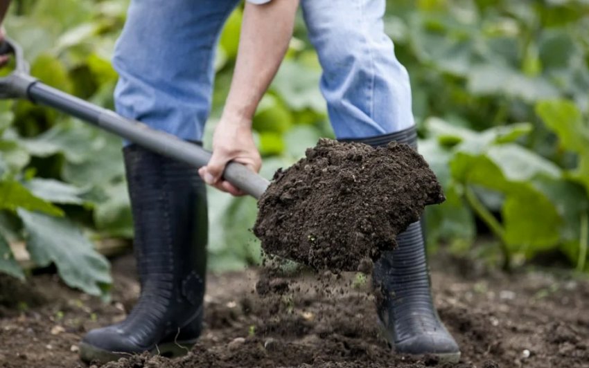 Перекопування ділянки Перекопування ділянки