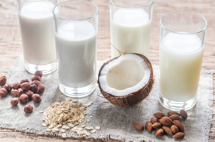 Новгородські молочники мають намір постачати молоком Китай і Іран Новгородські молочники мають намір постачати молоком Китай і Іран