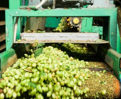 Чуваські аграрії протестують вітчизняну хмелесушилку