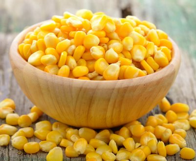 В США стан посівів кукурудзи і сої поліпшується незначно