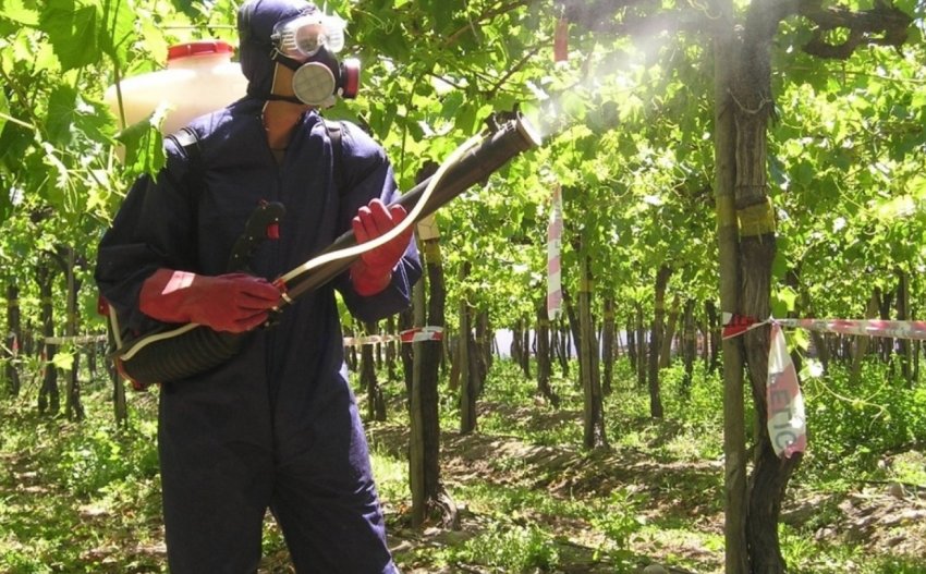 В США отримав реєстрацію новий фунгіцид