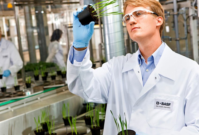 В США отримав реєстрацію новий фунгіцид