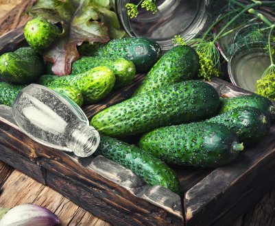 У Пермському краї пройде Свято огірка