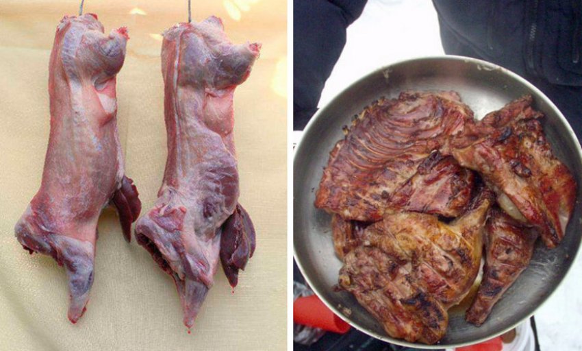 Сырое и готовое мясо нутрии