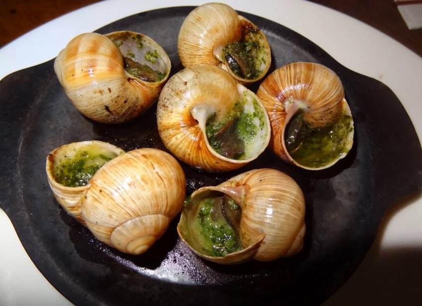 «Слизький» бізнес: у Хмельницькій області планують освоїти новий напрямок сільського господарства