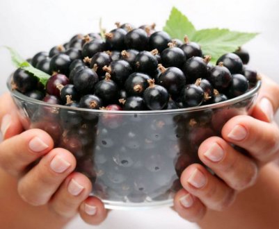 Смородина для людей з цукровим діабетом: користь чи шкода