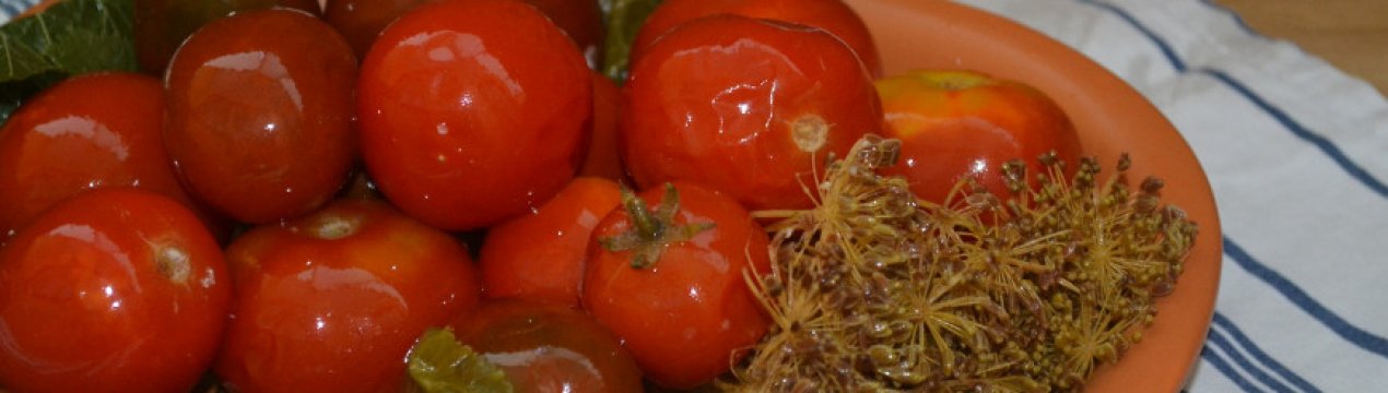Кращі рецепти квашених помідорів в домашніх умовах