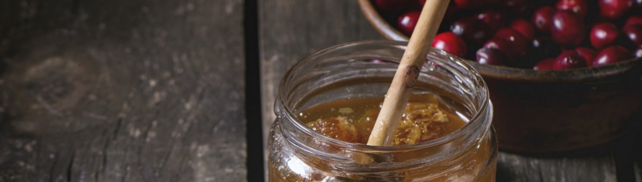 Користь і шкода журавлини з медом