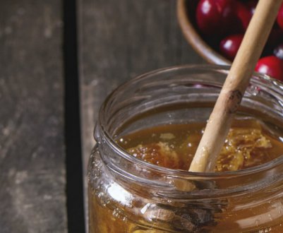 Користь і шкода журавлини з медом