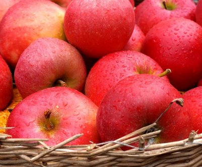 Україна відкрила яблучний сезон