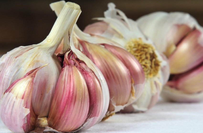 Супермаркети України заполонив китайський часник Супермаркети України заполонив китайський часник