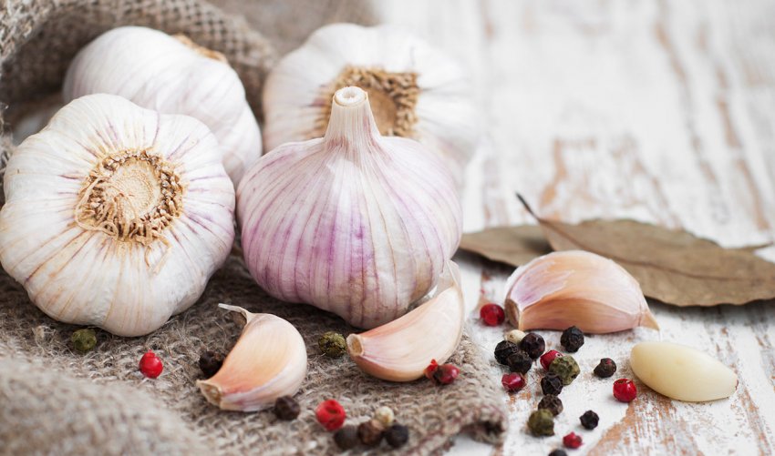 Супермаркети України заполонив китайський часник Супермаркети України заполонив китайський часник