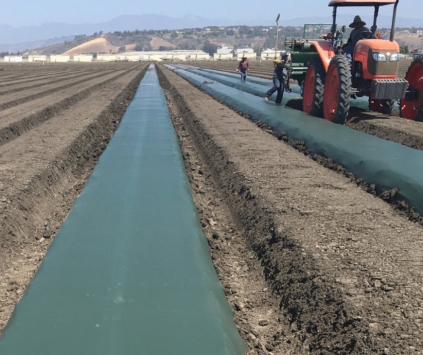 Китай обіцяє підвищити рівень утилізації сільській пластикової мульчі