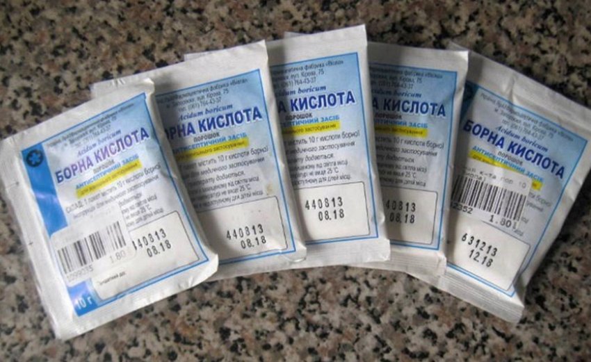 Почему засохли завязи ежевики. . Почему засохли завязи ежевики фото. Почему засохли завязи ежевики-. картинка Почему засохли завязи ежевики. картинка . Желтая ежевика свидетельствует о развитии опасных болезней, к лечению которых нужно незамедлительно приступать.