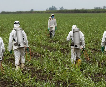 Австрійський парламент перший в ЄС підтримав заборону на використання гліфосату