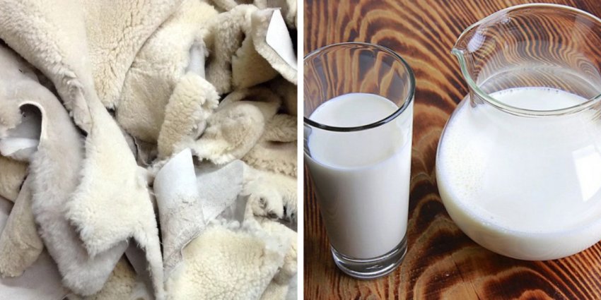 Овеча сировина Овеча сировина