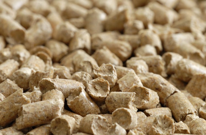 Росія вивела саратовський шрот на італійський ринок Росія вивела саратовський шрот на італійський ринок