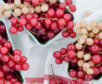 Смородина — алерген чи ні