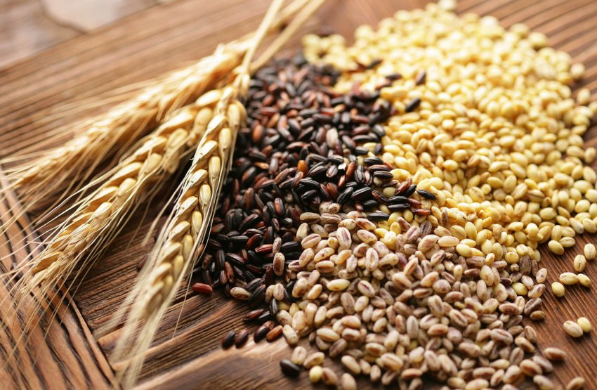 Компанія «Сварог Вест Груп» розпочала збір урожаю Компанія «Сварог Вест Груп» розпочала збір урожаю