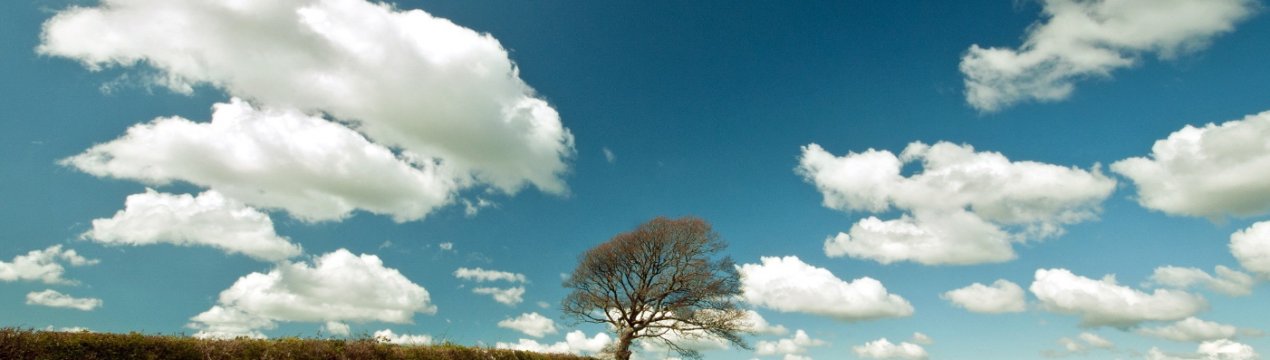 В Україні почастішали випадки рейдерських захоплень врожаю